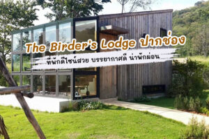 The Birder's Lodge ปากช่อง ''น่าหอบร่างไปพักให้ธรรมชาติบำบัดหัวใจ''