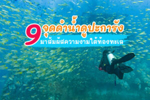9 จุดดำน้ำดูปะการัง 2023 ชมความงามใต้ท้องทะเล