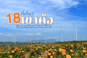 18 ที่เที่ยวเขาค้อ 2023 เที่ยวฟินๆ ตลอดปี ไม่ต้องรอหนาว