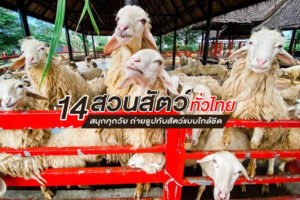 14 สวนสัตว์ 2023 ทั่วไทย สนุกทุกวัย ถ่ายรูปกับสัตว์แบบใกล้ชิด