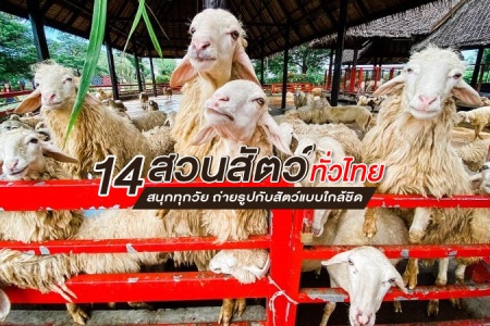 14 สวนสัตว์ 2567 ทั่วไทย สนุกทุกวัย ถ่ายรูปกับสัตว์แบบใกล้ชิด