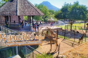 14 สวนสัตว์น่าเที่ยว ทั่วไทย สนุกทุกวัย ถ่ายรูปกับสัตว์แบบใกล้ชิด