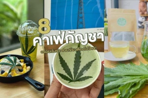 8 คาเฟ่กัญชา 2023 เมนูสายเขียว อร่อยอารมณ์ดี