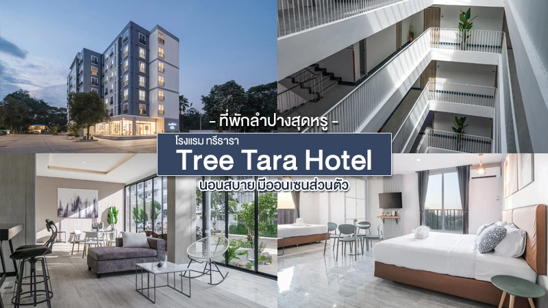 โรงแรม Tree Tara | โรงแรมลำปาง มีออนเซ็นในโรงแรมด้วย