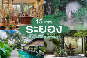15 คาเฟ่ระยอง 2023 คาเฟ่เปิดใหม่ ร้านกาแฟสวยๆ มุมถ่ายรูปเยอะ